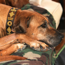 Carica l'immagine nel visualizzatore di Gallery, COLLARE NAMIBIA