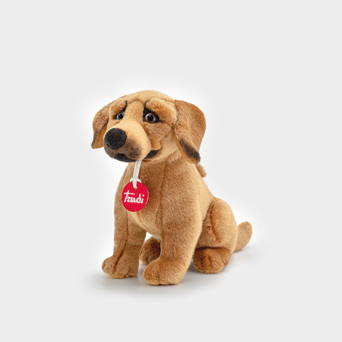 Cuccia calmante soffice peluche per cani di taglia grande, media Cuccia calmante soffice peluche per cani di taglia grande, media