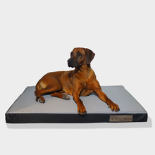 Carica l'immagine nel visualizzatore di Gallery, MATERASSO XL LYON