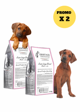 Carica l'immagine nel visualizzatore di Gallery, 𝑷𝑹𝑶𝑴𝑶 2 confezioni: Ermitage Junior Large Breed: Maiale &amp; riso e piselli 12 Kg.

