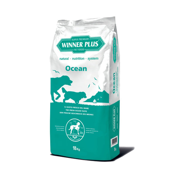 Winner Plus Ocean (con salmone)